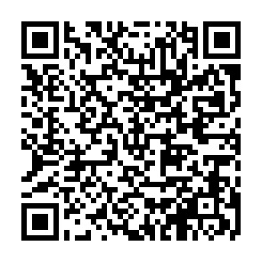 ～異業種交流会～